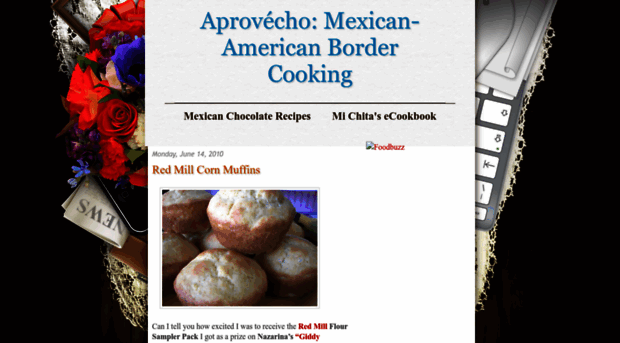 mexicanamericanbordercooking.blogspot.com