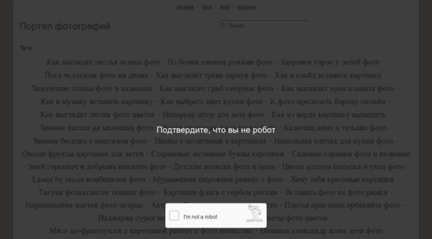 microgig.net.ru