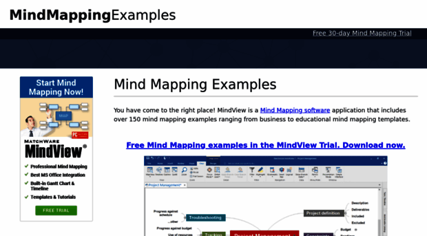 mindmappingexamples.com