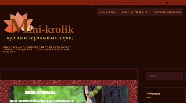 mini-krolik.ru