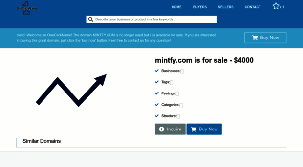 mintfy.com