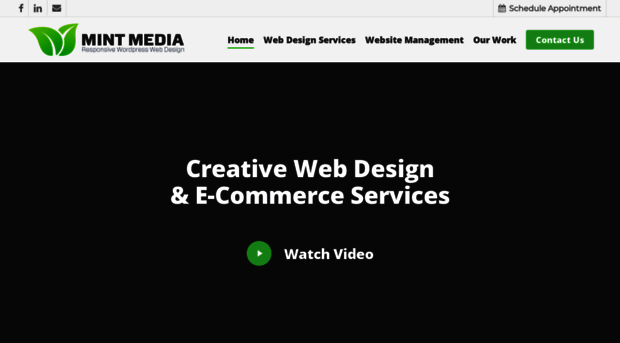 mintmediaagency.com