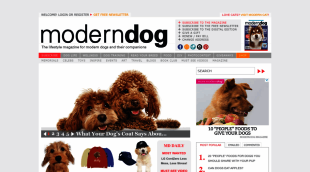 moderndogmagazine.com