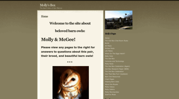 mollysbox.wordpress.com