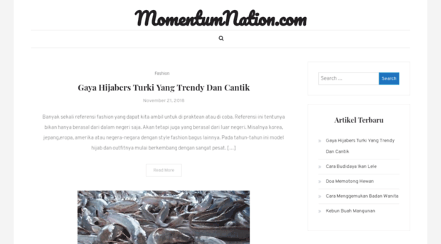 momentumnation.com