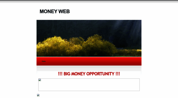 moneyweb2008.synthasite.com