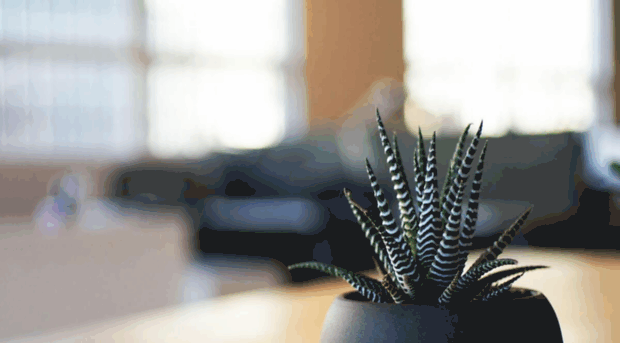 moodle.soundtraining.com