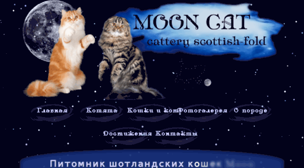 moonfold.ru
