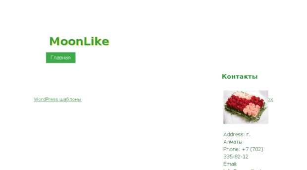 moonlike.kz