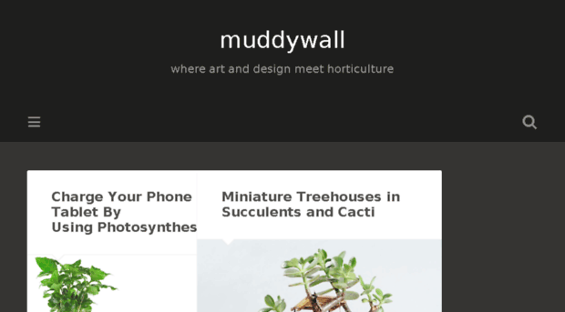 muddywall.com