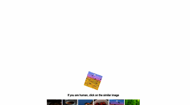 multi-rip.ru