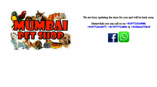 mumbaipetshop.com