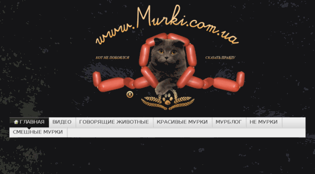 murki.com.ua