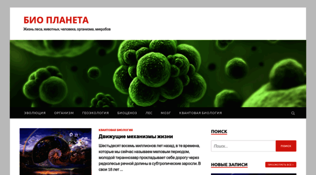 murmann.ru