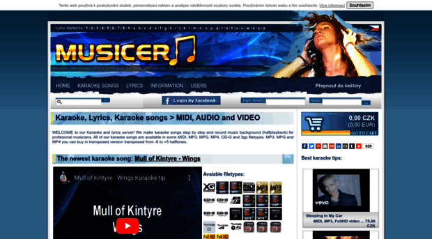 musicer.net