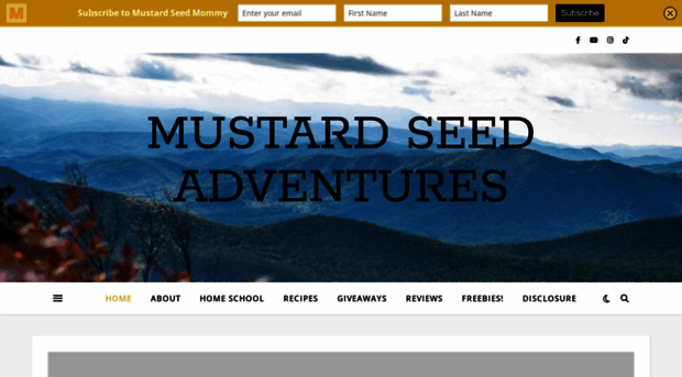mustardseedmommy.com