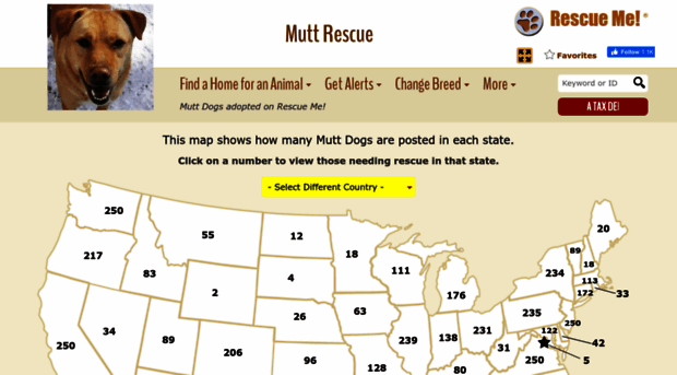 mutt.rescueme.org