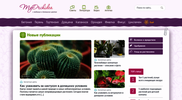 myorchidea.ru