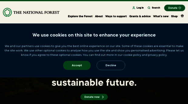 nationalforest.org