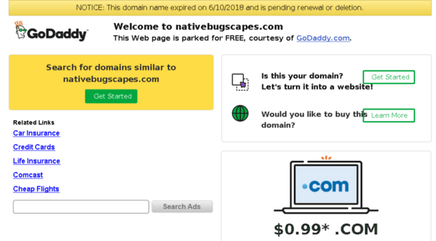 nativebugscapes.com