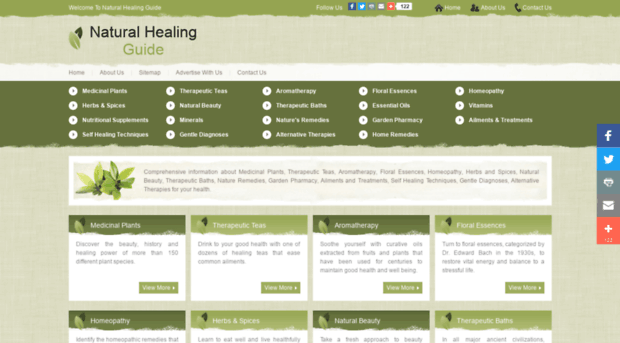 natural-healing-guide.com