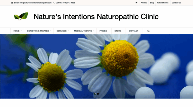 naturesintentionsnaturopathy.com