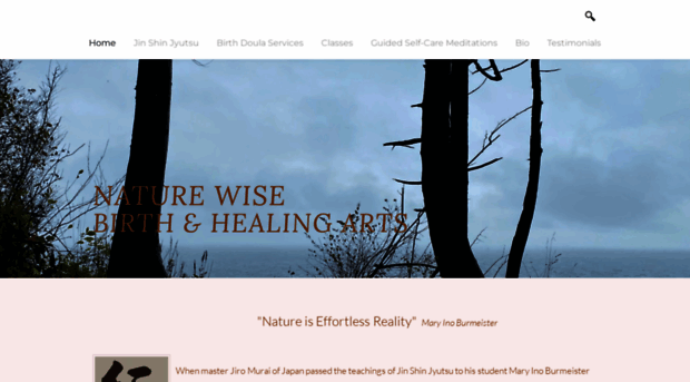 naturewisehealing.com