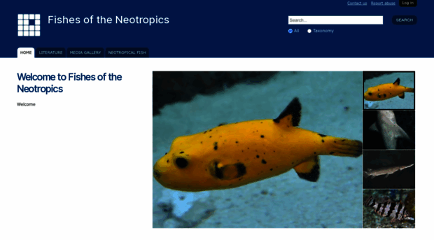 neotropicalfishes.myspecies.info