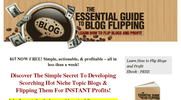netbusinessmillionaire.com