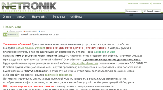 netronik.ru