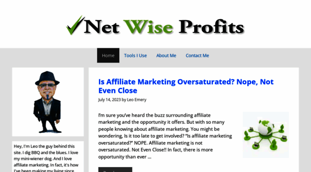 netwiseprofits.com
