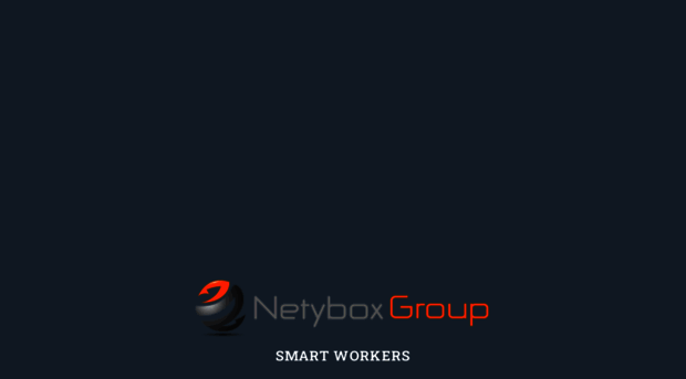 netyboxgroup.com