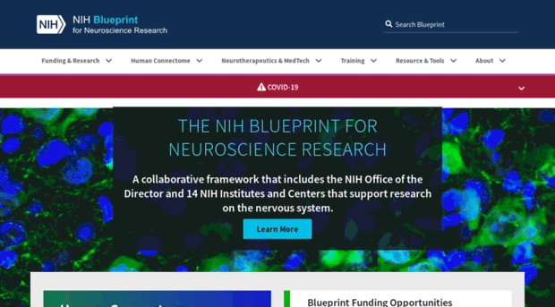 neuroscienceblueprint.nih.gov