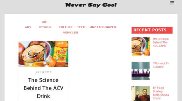 neversaycool.com