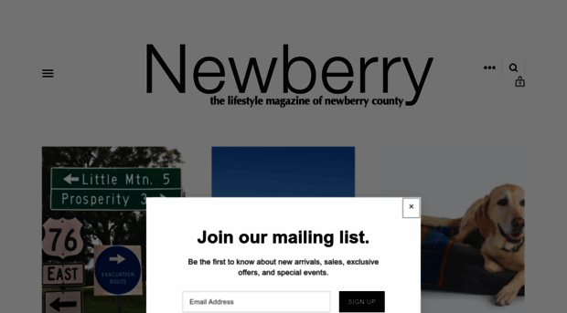 newberrymagazine.com