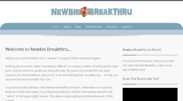 newbiebreakthru.com