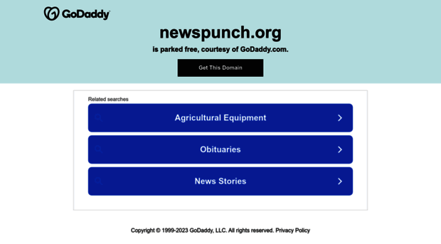newspunch.org