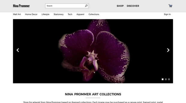 nina-prommer.artistwebsites.com