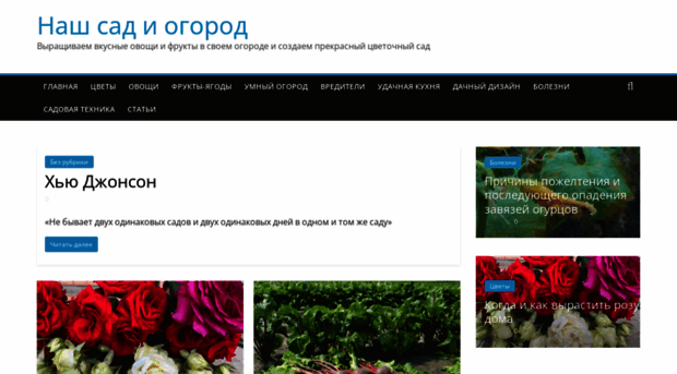 njournal.ru