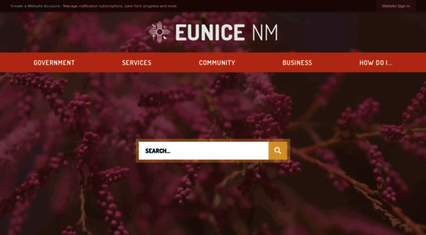 nm-eunice.civicplus.com
