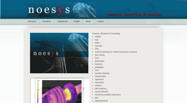 noesys.webs.com
