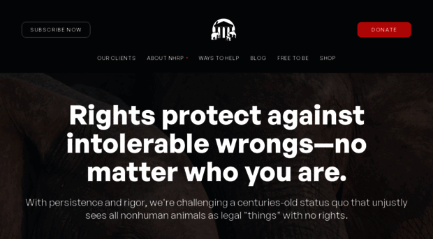 nonhumanrights.org