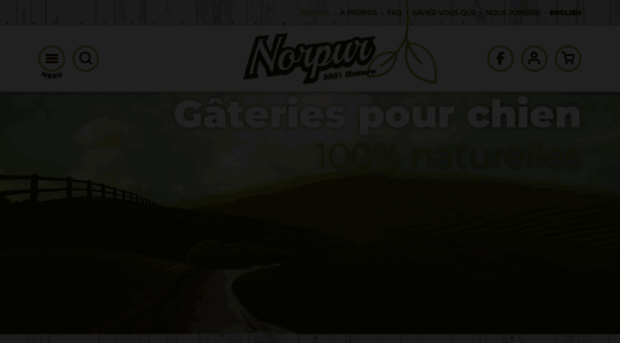 norpur.net