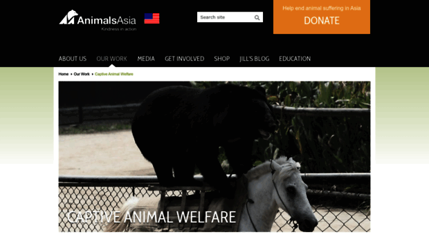novoice.animalsasia.org
