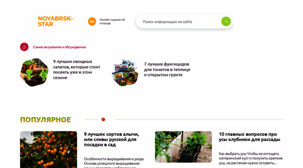 noyabrsk-star.ru