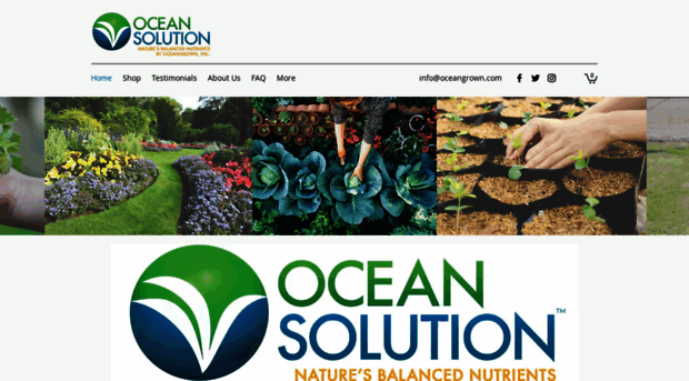 oceansolution.com