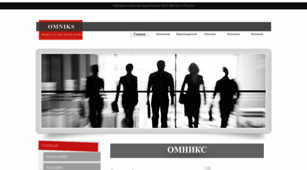 omniks.ru