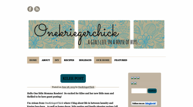 onekriegerchick.wordpress.com