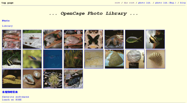 opencage.info
