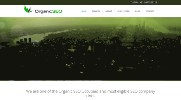 organicseo-services.com